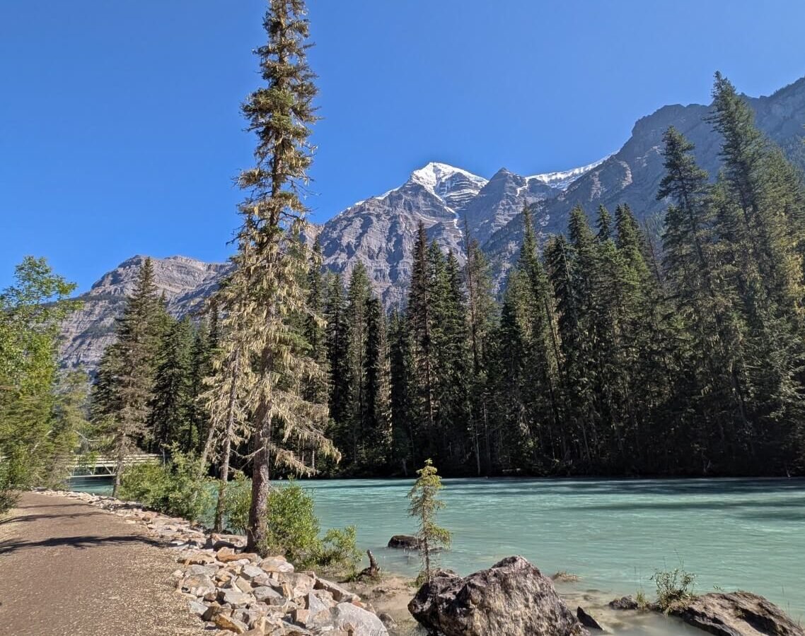 Looking across Kinney Lake Trail to the tuquoise Robson River, backdropped by forest and snow capped Mount Robson above