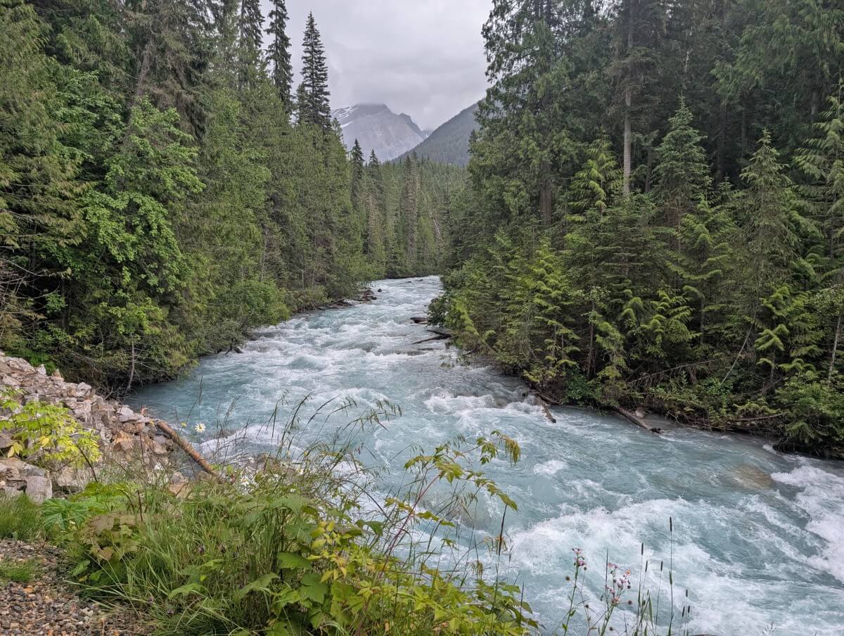 The fast moving Robson River lined by forest on the Kinney Lake Trail
