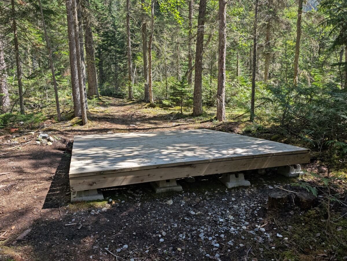 Wooden tent pad at Kinney Lake Campground, backdropped by forest