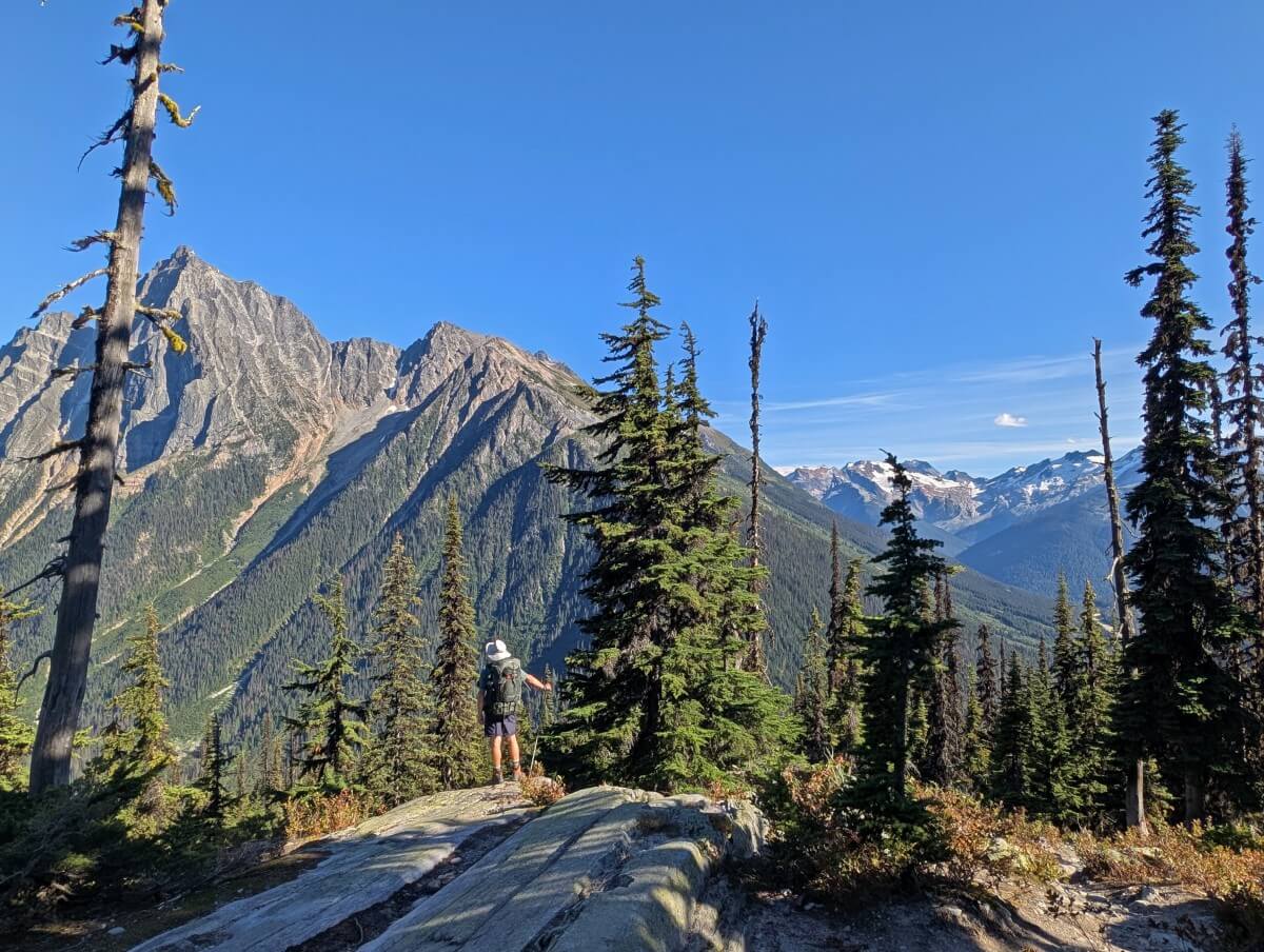 Back view of hiker with backpack standing next to small alpine trees looking out to mountain filled view on the Hermit Trail