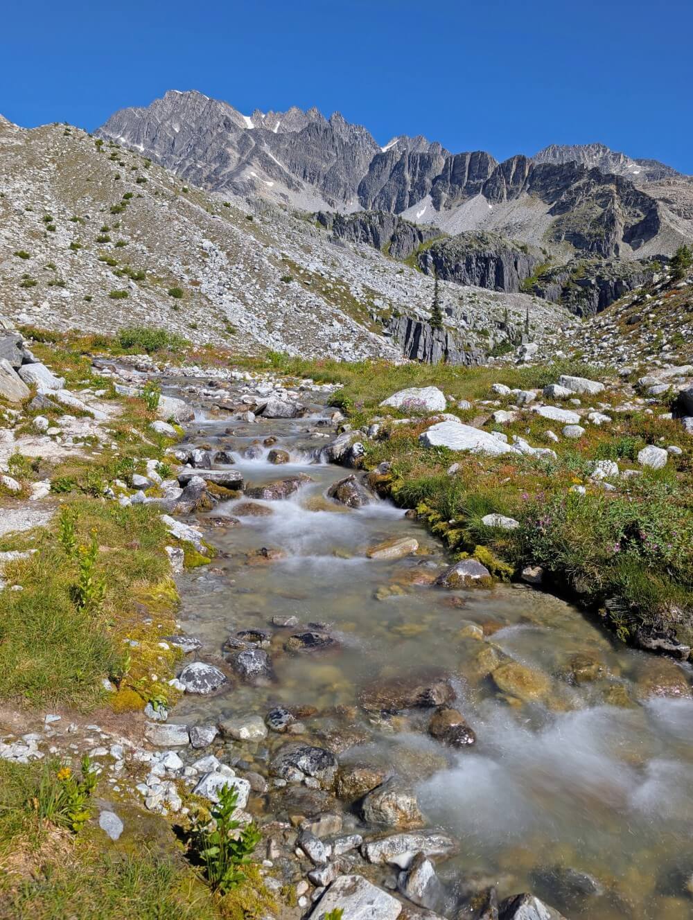 A glacial creek runs towards the camera, lined by alpine meadows and backdropped by mountains