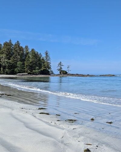 The Best Time to Visit Vancouver Island: A Seasonal Breakdown