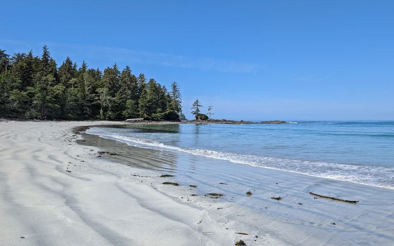 The Best Time to Visit Vancouver Island: A Seasonal Breakdown