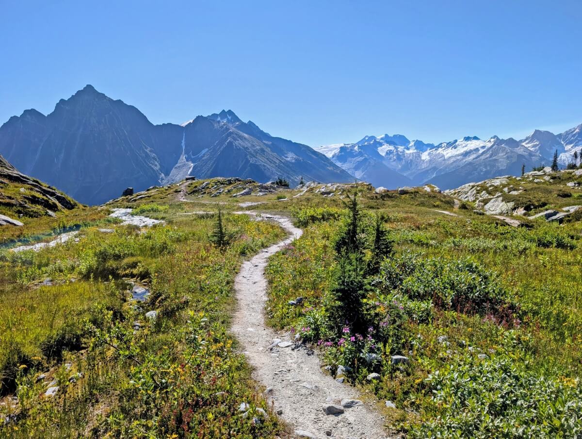 A dirt path winds through alpine meadows in Glacier National Park (Hermit Trail). Snow capped mountains provide a backdrop. 