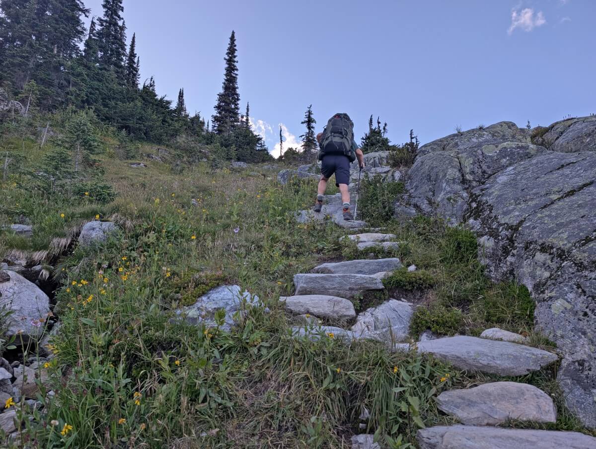 Back view of hiker with large backpack climbing up series of rock steps on the Hermit Trail, with flower filled meadows on left
