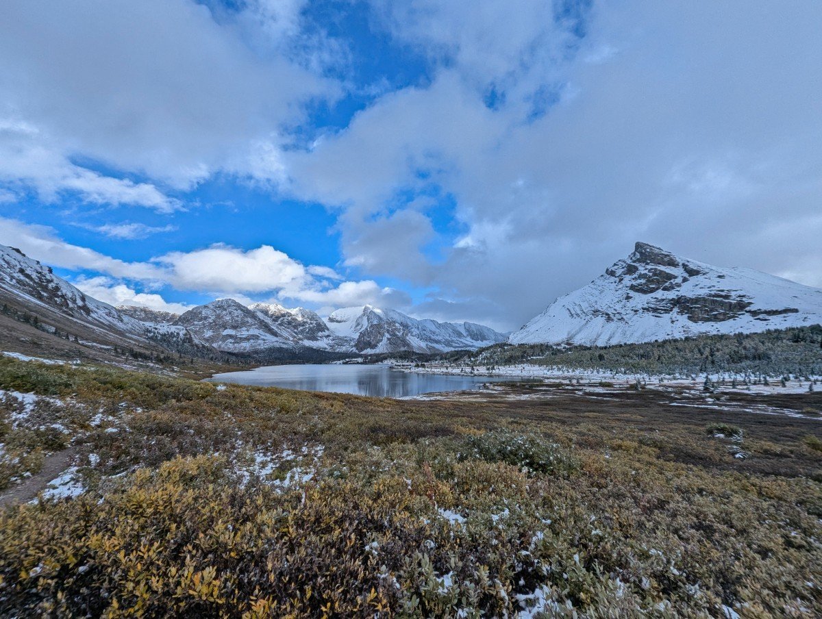 Looking across alpine meadow foliage towards calm lake surrounded by snow capped mountains