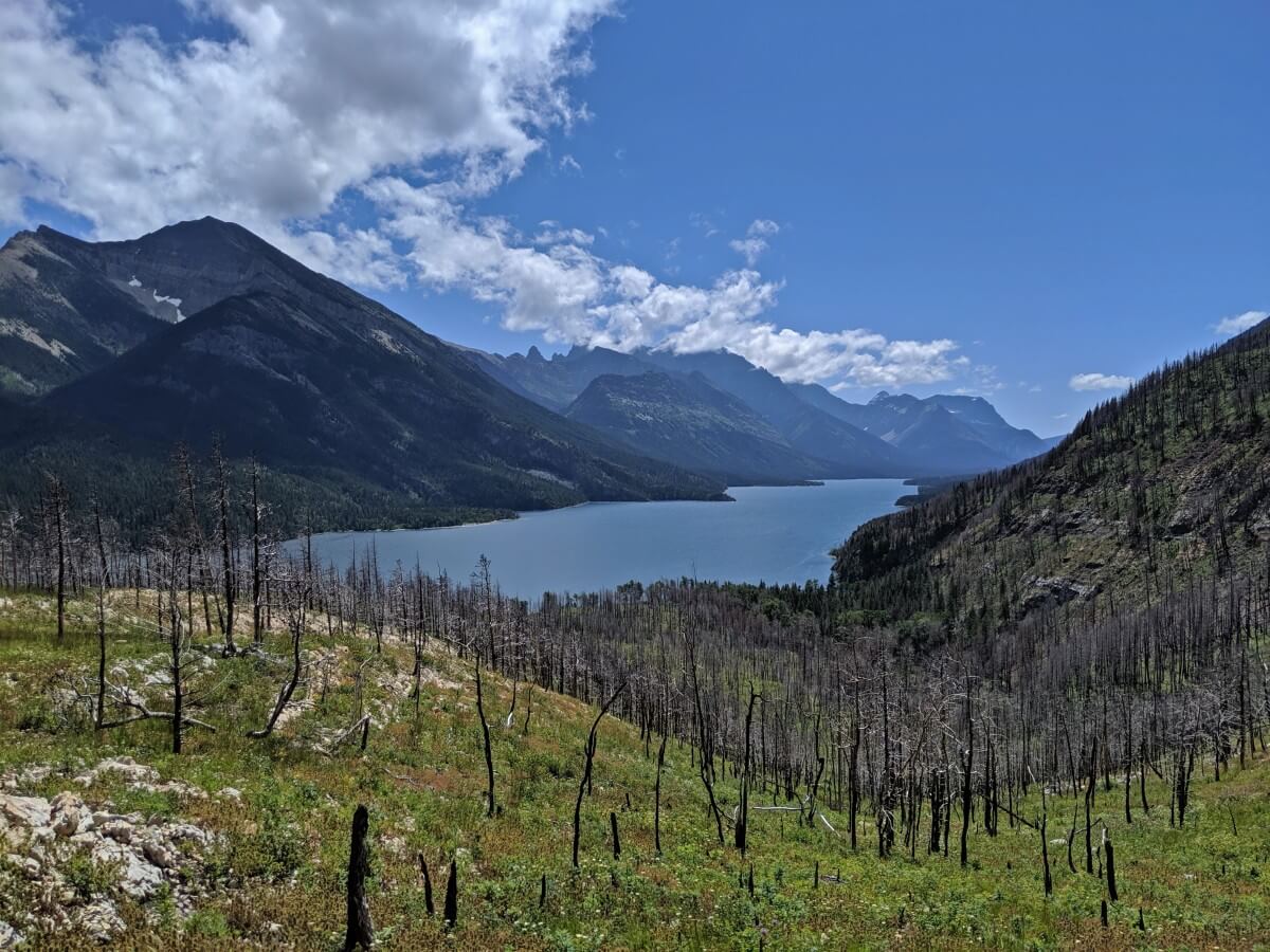 Elevated view looking down across burned trees to large lake, surrounded by mountains in Waterton National Park