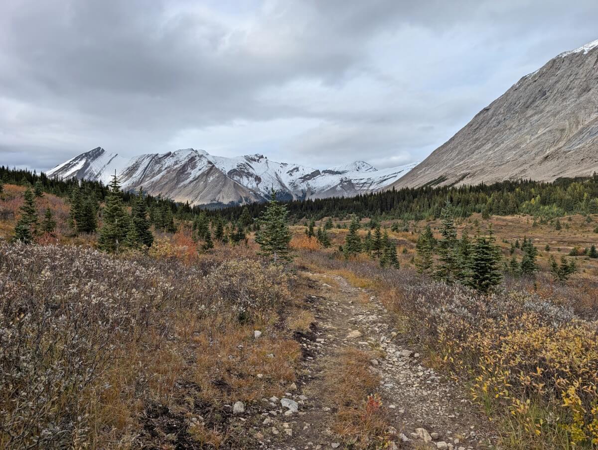 A dirt and rock path leads through a wide valley area with meadows foliage and scattered trees. Snow capped mountains formed a backdrop