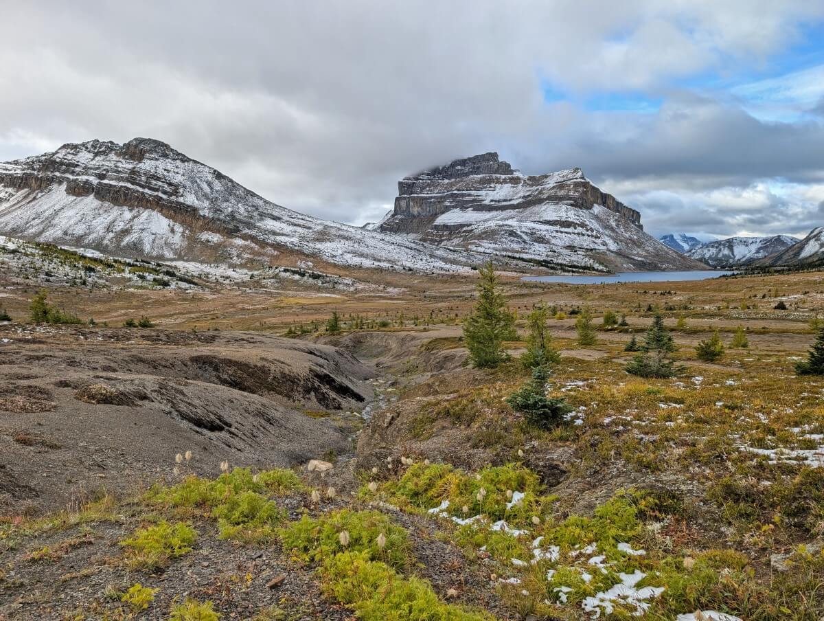 Wide open landscape with alpine meadows foliage, scattered trees and partially snow covered mountains in background