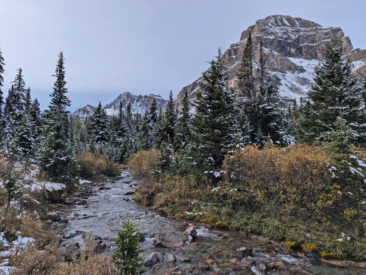 A creek runs through alpine scenery, with scattered trees (dusted with snow) and a large mountain looming above