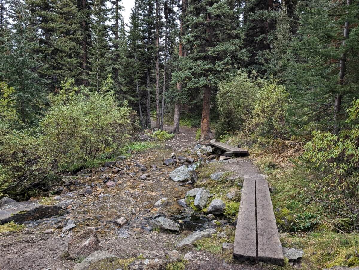 Two small foot bridges cross a wide creek in the forest on the way to Baker Lake