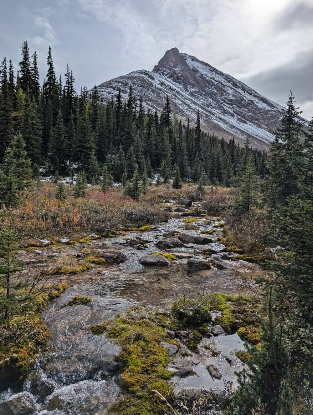Creek running towards camera lined by forest with partially snow covered mountain in background
