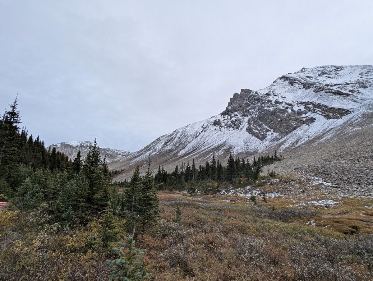 Trail view of meadows and forest area on the Skoki Loop near Jones Pass with snow covered mountain on right