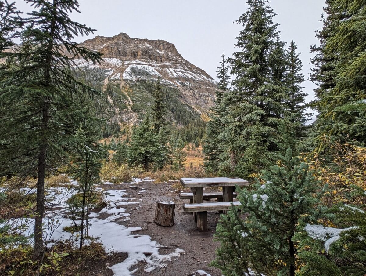 A wooden picnic table sits in a forested area with a mountainous backdrop at the Merlin Meadows campground in the Skoki area