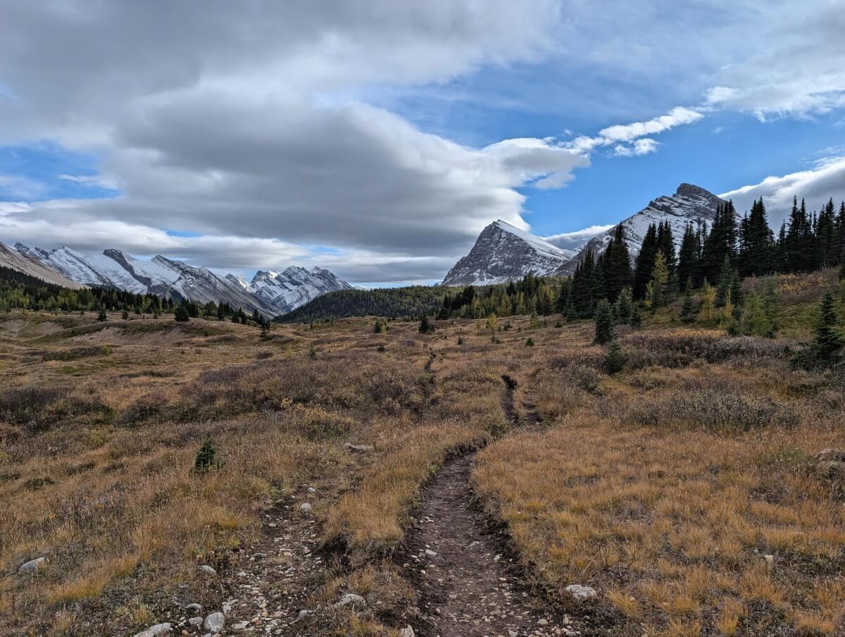 Dirt trail leading off into distance on the Skoki Loop in Banff National Park. The landscape is open, with a backdrop of snow capped mountains
