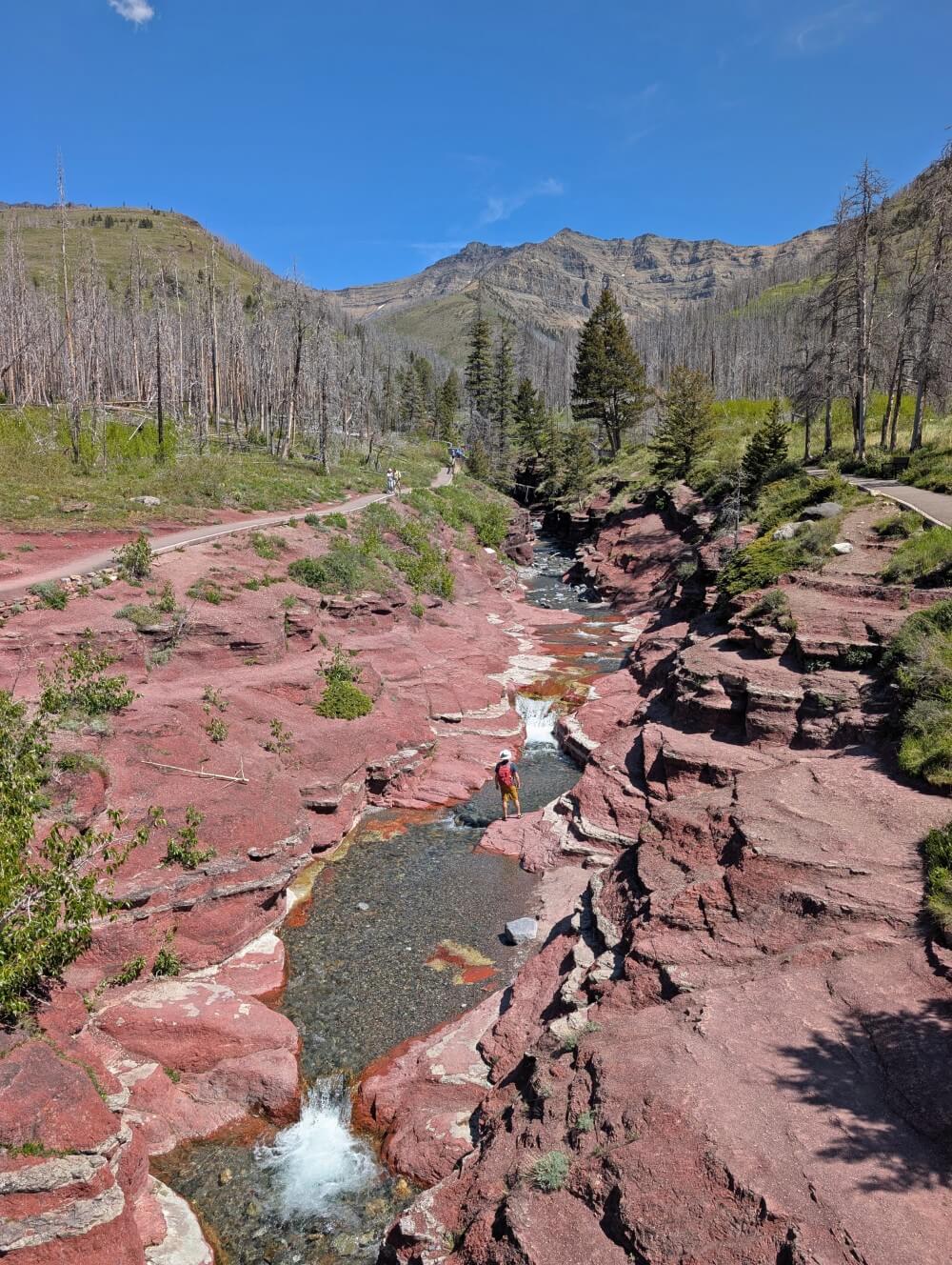 Red Rock Canyon view from bridge looking down into canyon with pink coloured rocks. There are burned trees on both sides of the canyon, above the river, and mountains in the background