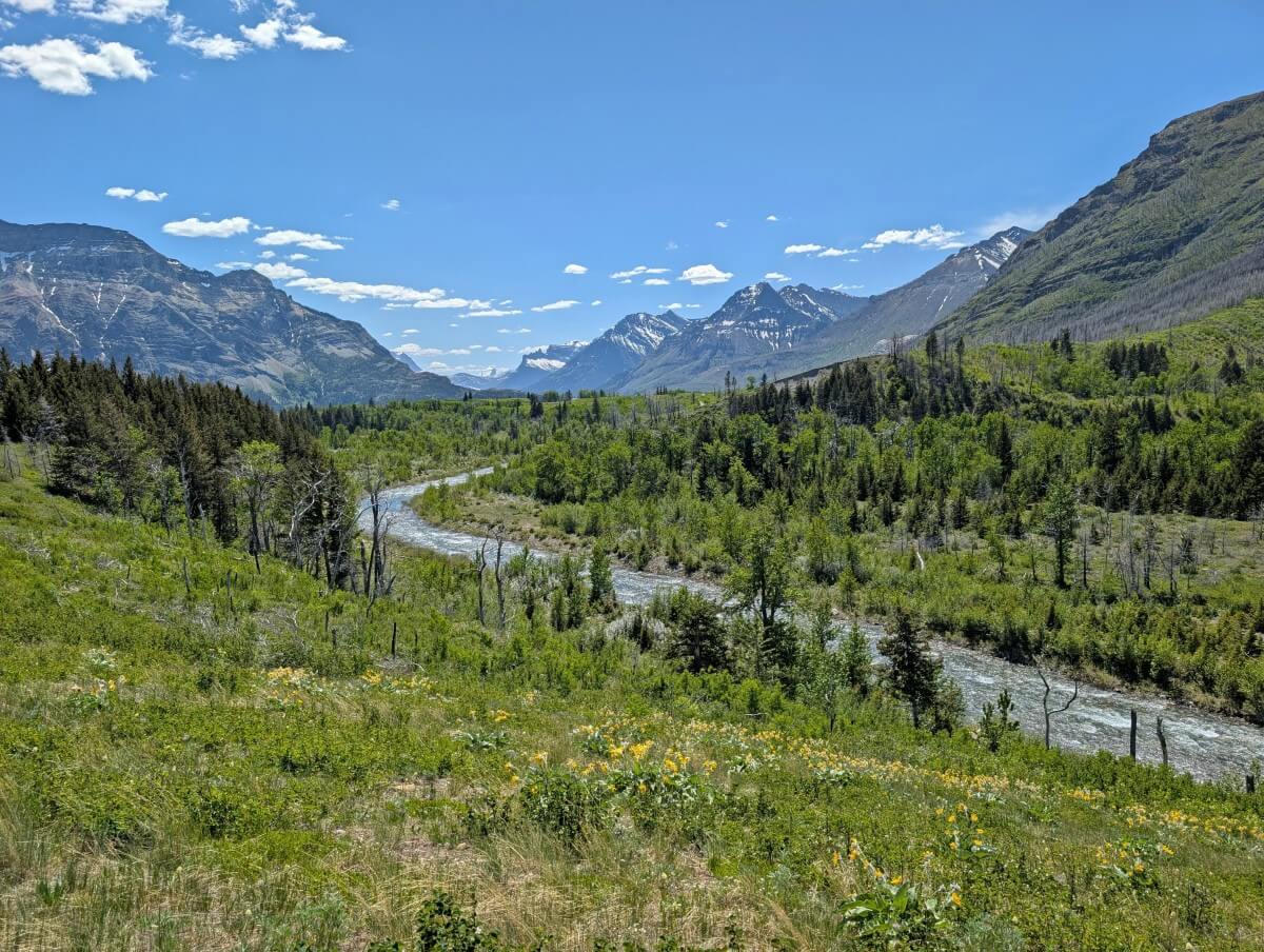 Lush foliage next to Red Rock Canyon parkway with river running through, backdrop of partially snow covered mountains
