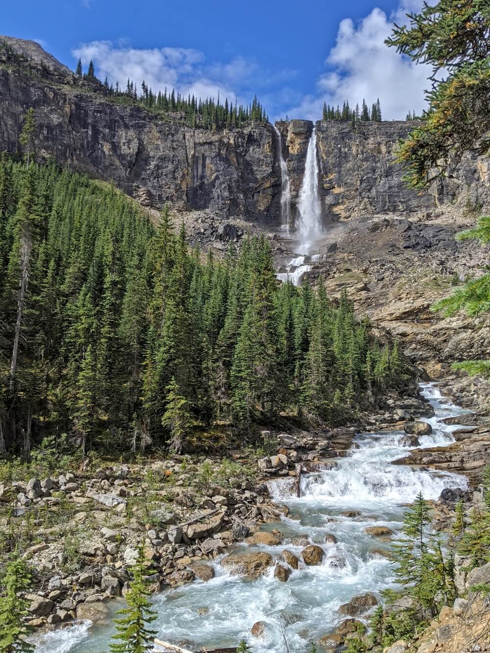 Looking upriver to a twin waterfall cascading from a flat rock plateau, with scattered forest (Twin Falls Yoho National Park)