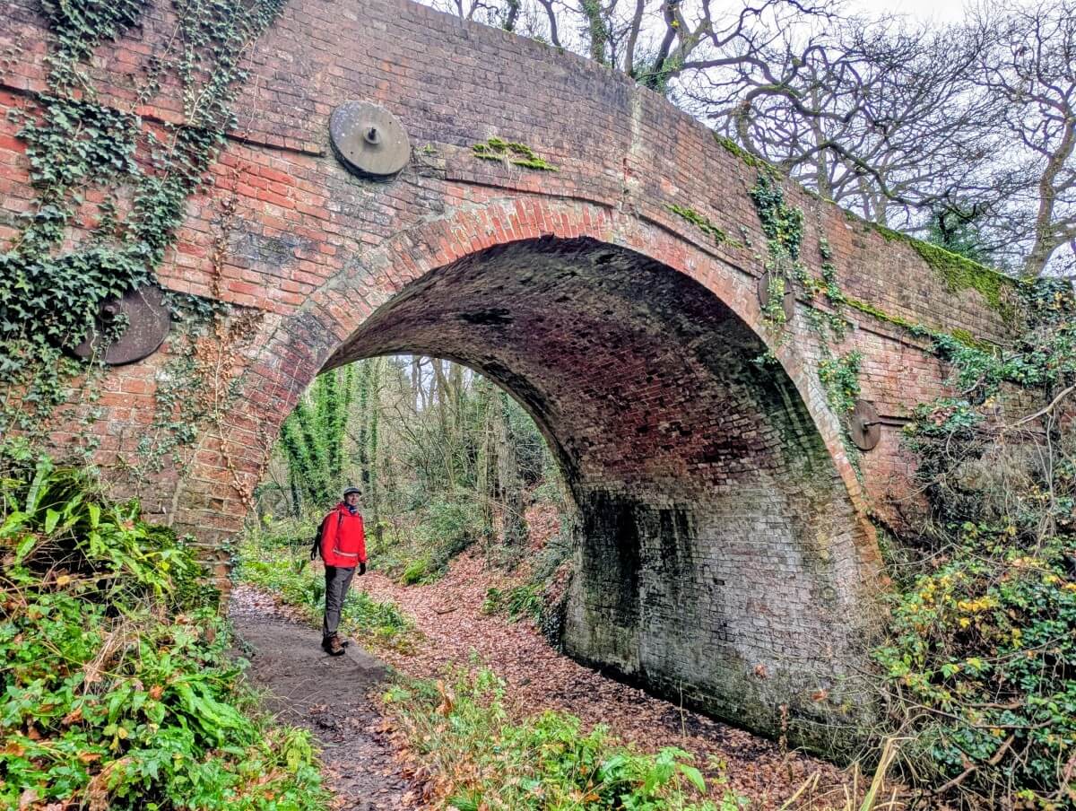A man stands underneath a partially ivy covered brick bridge next to a disused canal