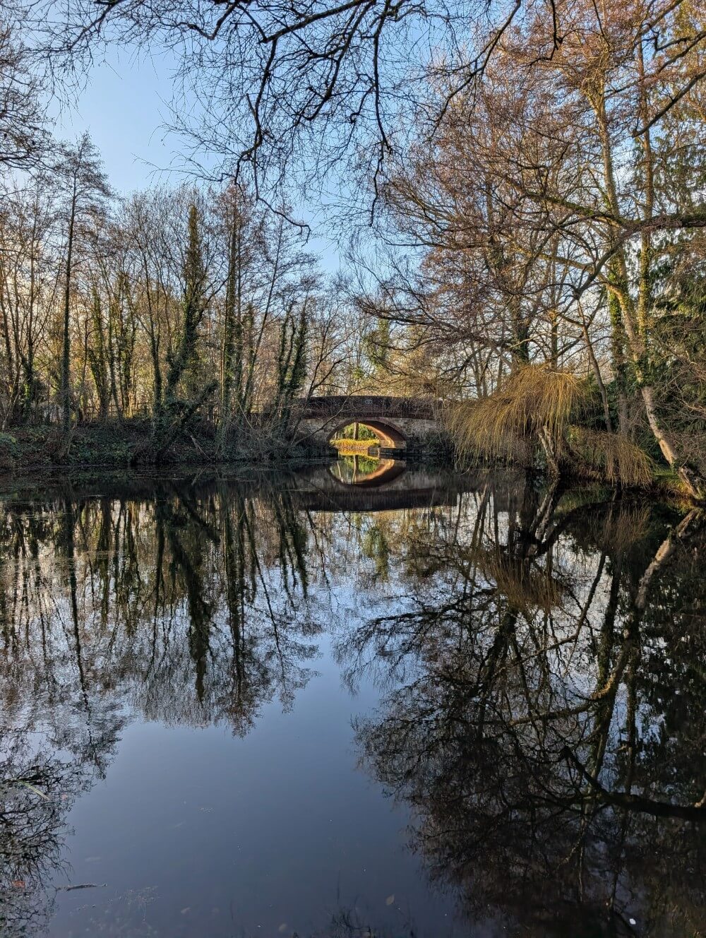 Reflective canal scene featuring a widened area and a bridge in the distance, with trees on both sides