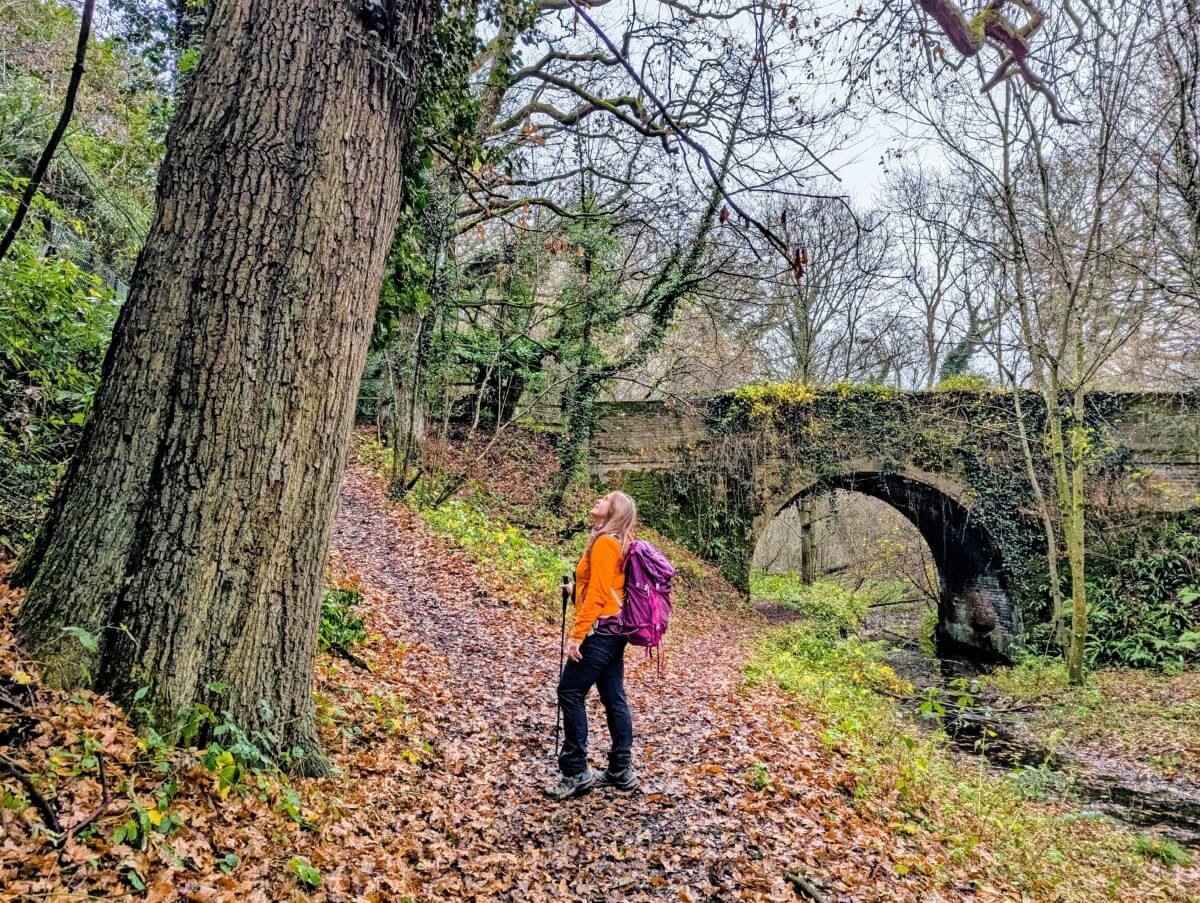 A woman stands with a backpack on a path looking up at a large oak tree with a brick bridge in the background