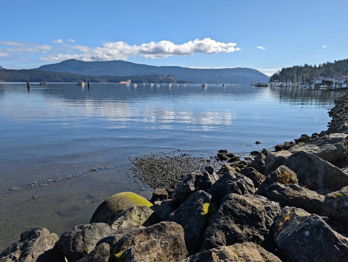 Cowichan Bay views with calm ocean, forested peninsula behind and moored boats on the water