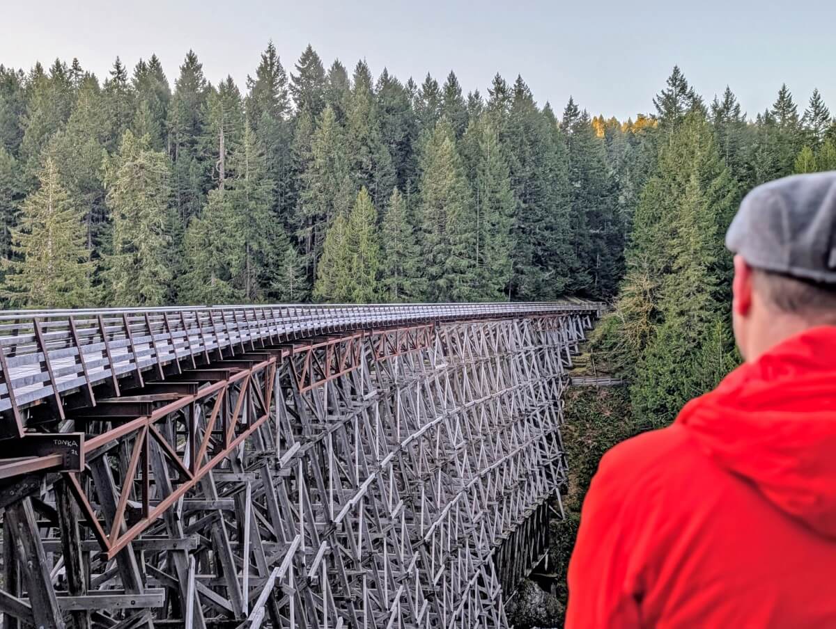 Over shoulder view of man in red jacket standing at viewpoint overlooking huge wooden railway bridge (Kinsol Trestle)