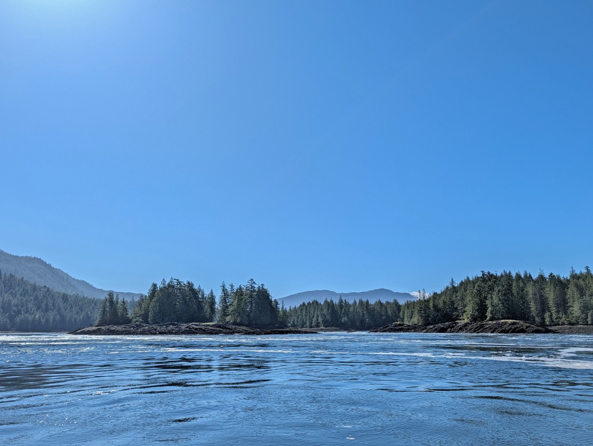 Boat view of Buntze Rapids on sunny day, with fast moving water between boat and forested islands and land