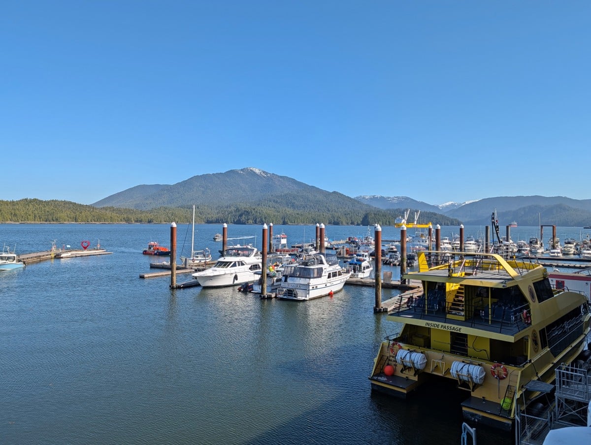 Cow Bay Marina view with parked boats (including a large yellow one close to the camera), on calm ocean with forested mountains in background