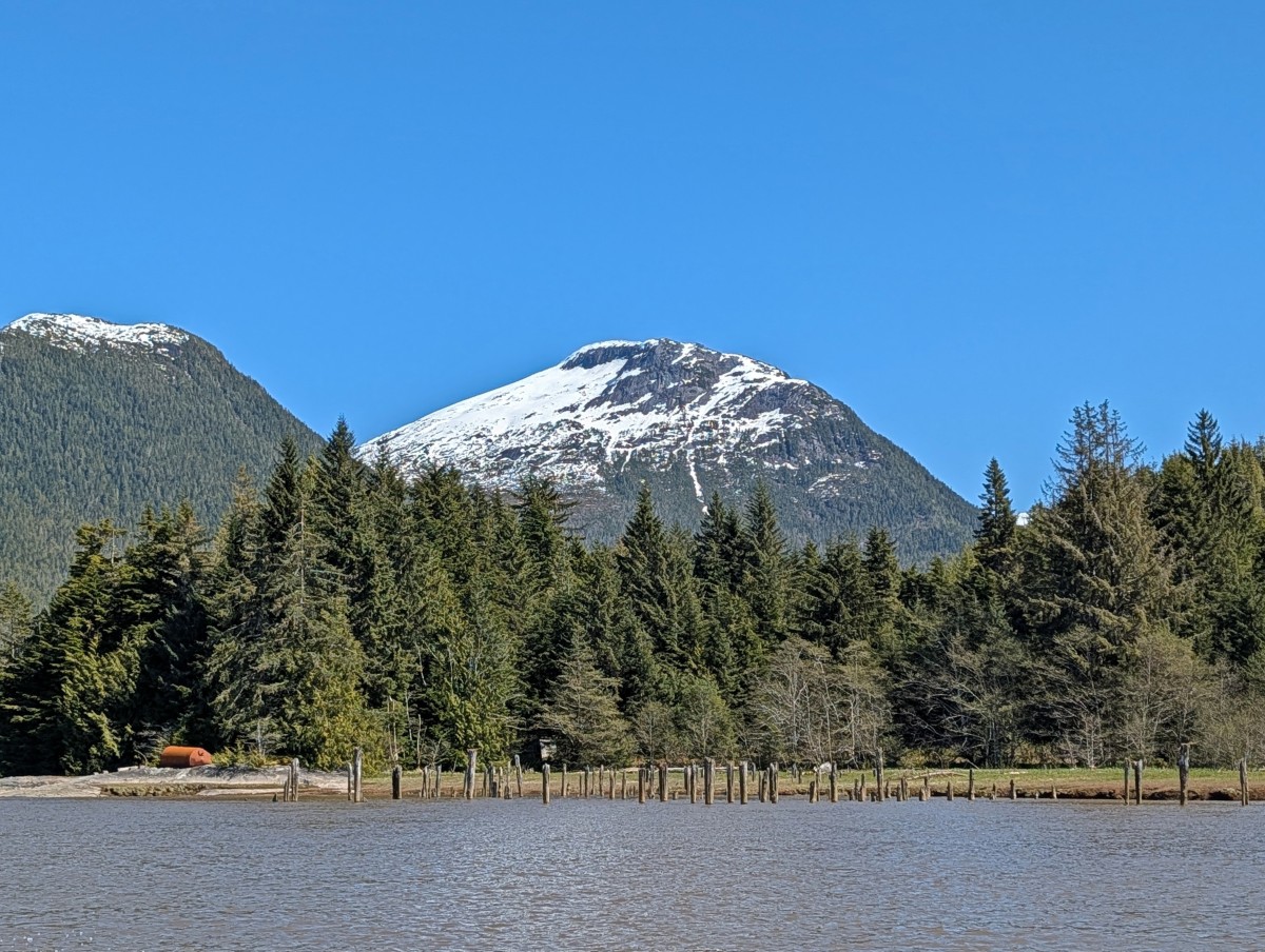 Boat view of Port Essington, with old dock pilings visible near the forested shoreline, with snow capped mountain above