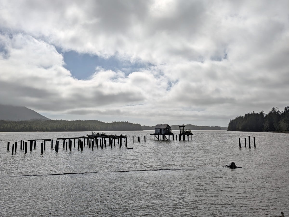 Old pilings on calm ocean at North Pacific Cannery, with small building in distance. Forested coastline is visible in the background