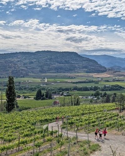 Running Through Wine Country: Oliver’s Incredible Half Corked Marathon