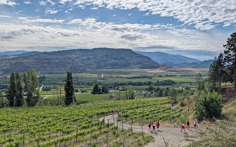 Running Through Wine Country: Oliver’s Incredible Half Corked Marathon