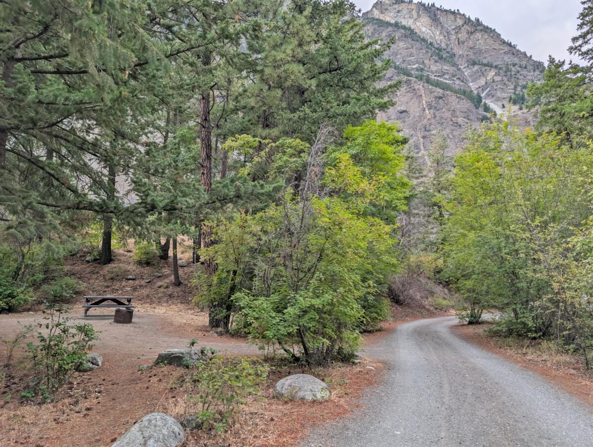 A dirt path leads through small trees in the BC Hydro Seton Lake campground, passing a campsite with a picnic table and fire pit