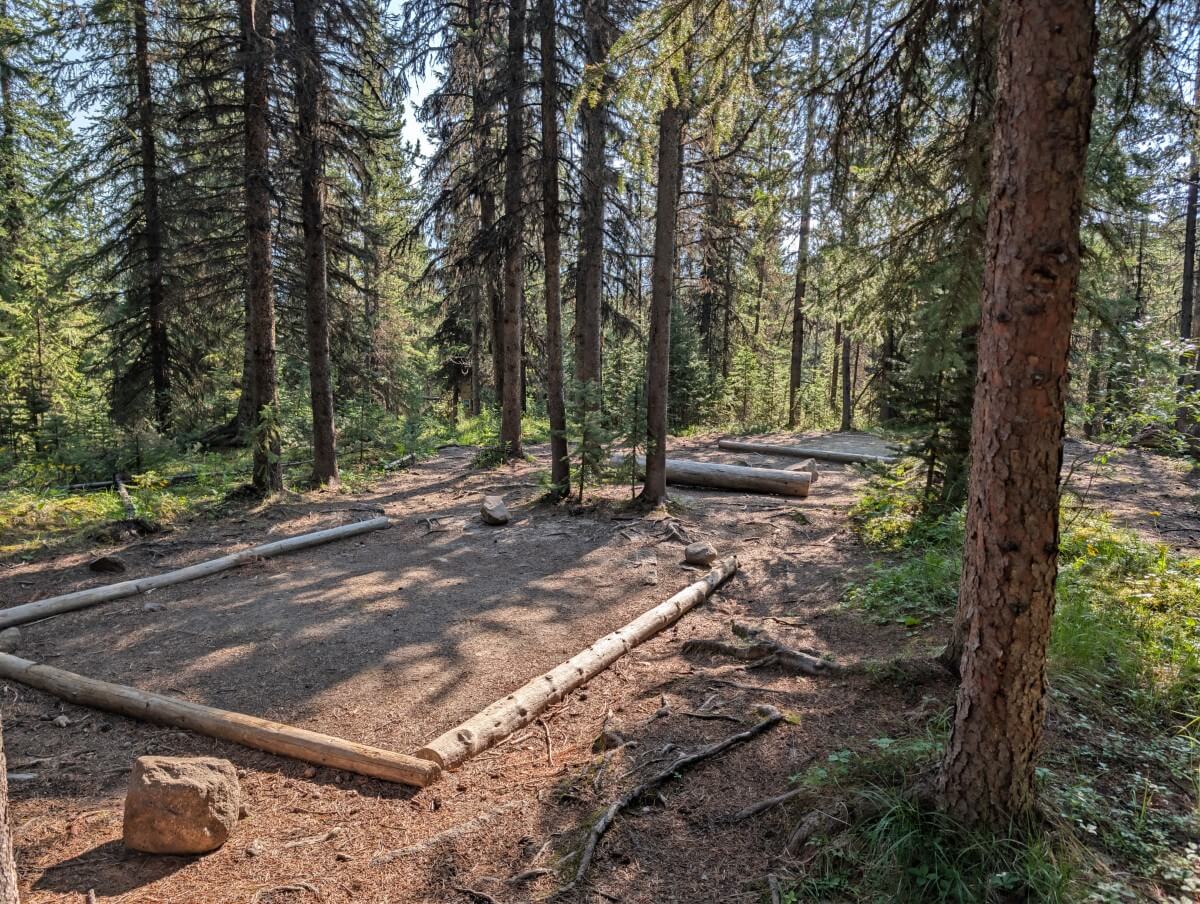 Two tree framed dirt tent pads in the forested Evelyn Creek campground on the Skyline