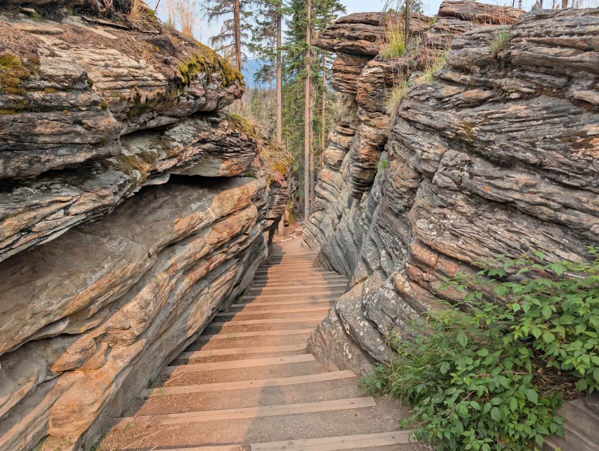 Stairs leading down through old river channel near Athabasca Falls, with layered water eroded walls