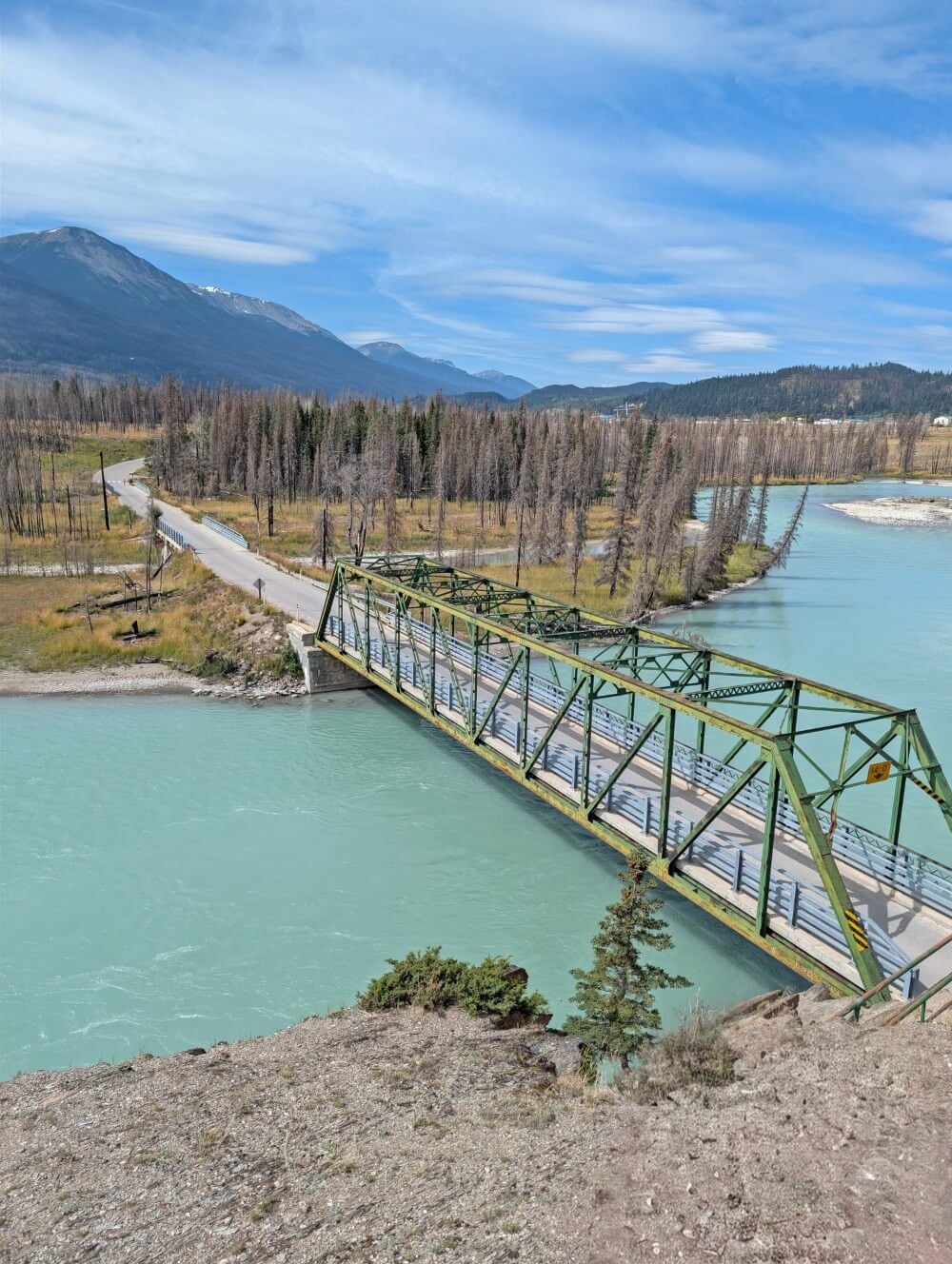 Looking down on a narrow one lane bridge over the milky turquoise Athabasca River, with burned trees along the shoreline