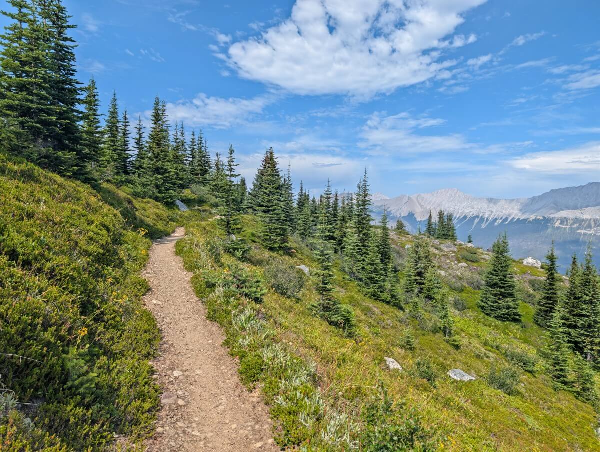 Narrow dirt path on side of slope with scattered trees and mountain backdrop