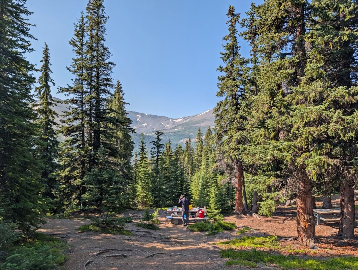 A hiker stands by a picnic table at the Little Shovel Campground in a partially cleared area in the forest