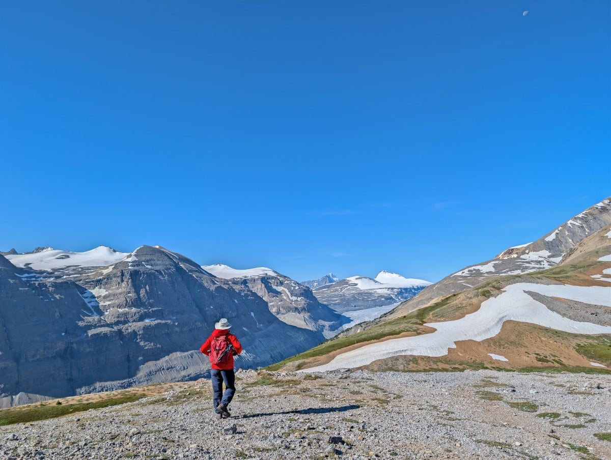 Back view of JR hiding on ridge on Parker Ridge Trail, with snow capped mountains and a glacier in the background