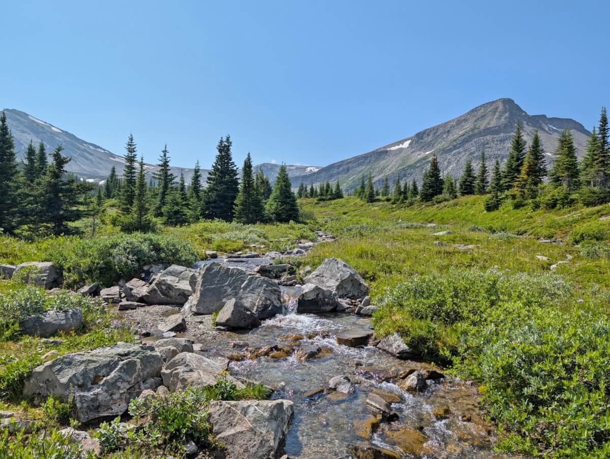 A rocky creek runs towards the camera, lined by meadows and backdropped by mountains