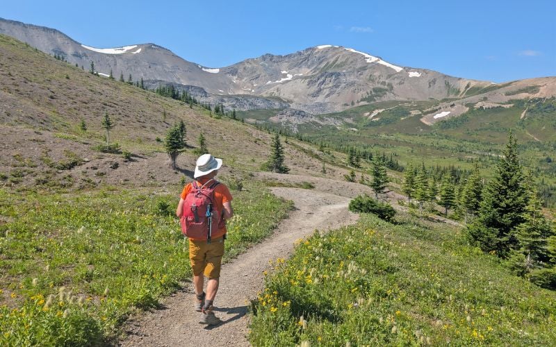 The Skyline Trail, Jasper National Park: Complete 2026 Backpacking Guide