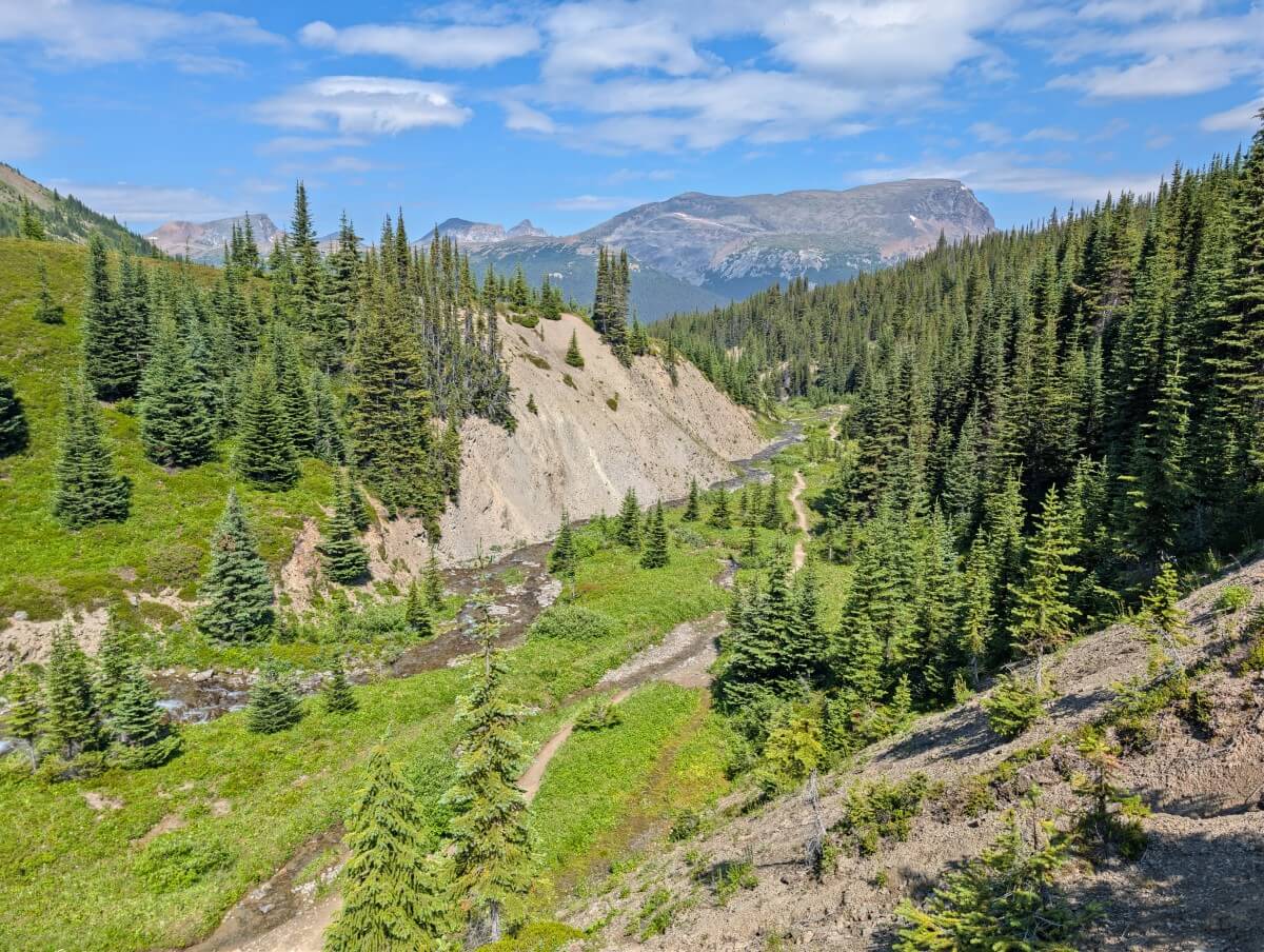 Looking down into a lush valley area with a creek, trees and meadows on the Skyline Trail