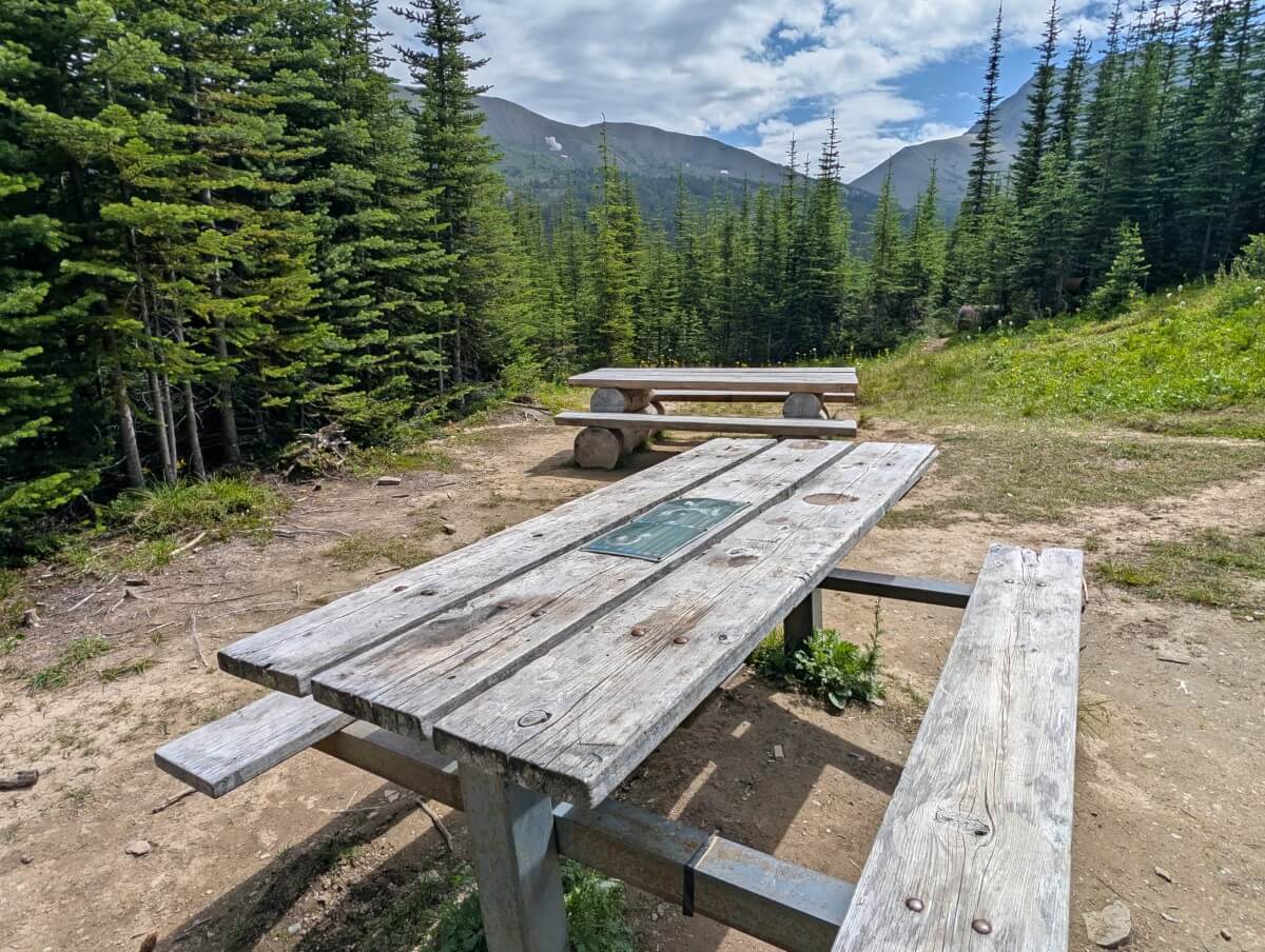 Two picnic tables in cleared area in forest with mountain views behind, at the Snowbowl campground