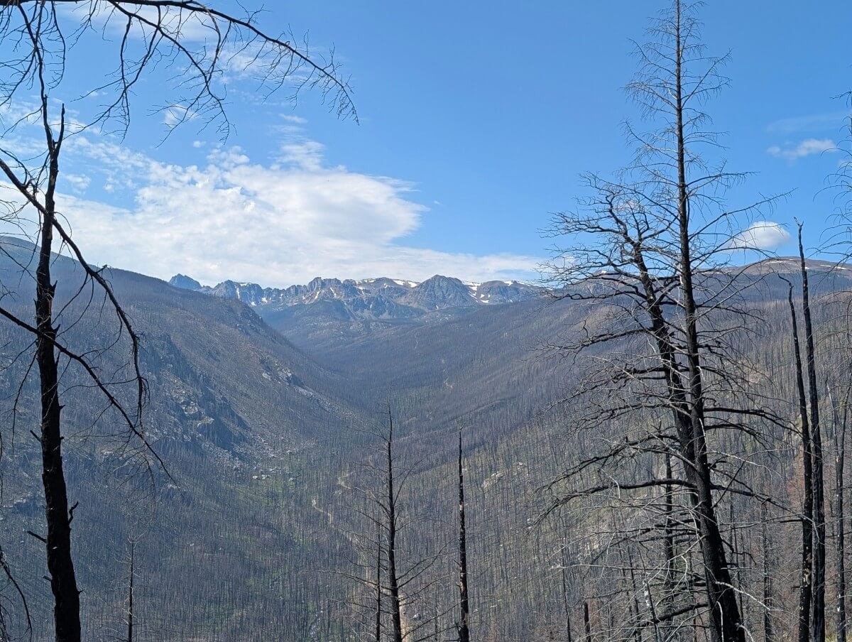 Looking through burned trees toward the mountainous core area of Cathedral Provincial Park, with the access road visible below
