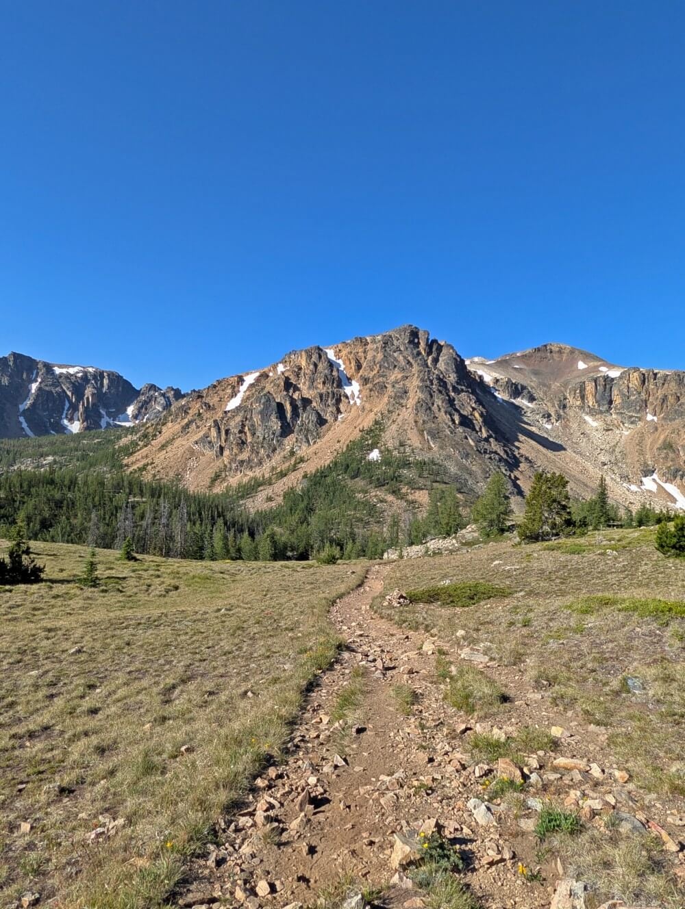 A wide dirt path descends through meadows towards snow capped mountains on the Rim Trail