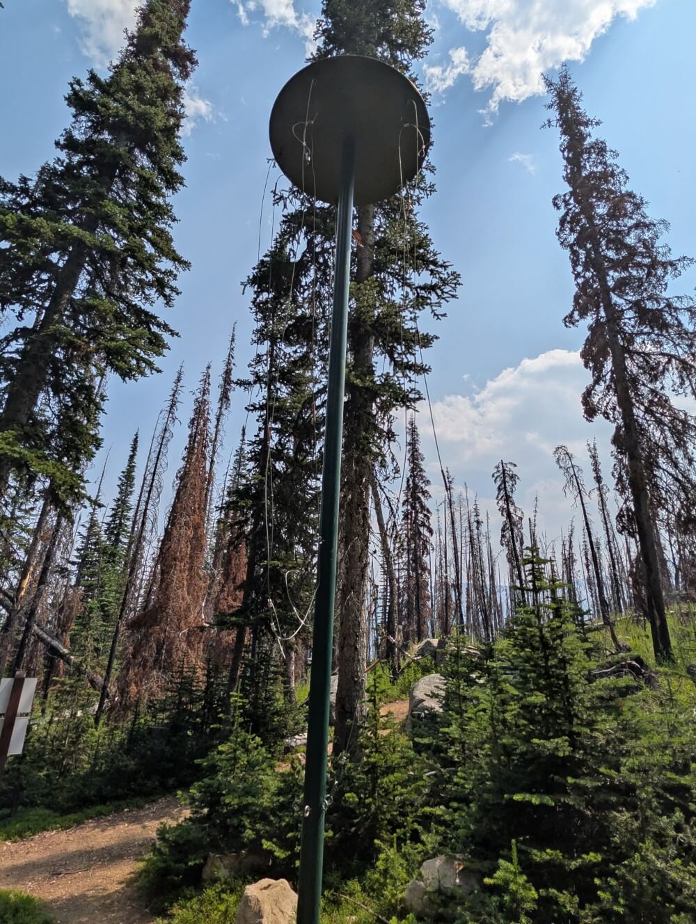 Looking up to bear hang at Cathedral Provincial Park, a metal structure with cables and attached food bags