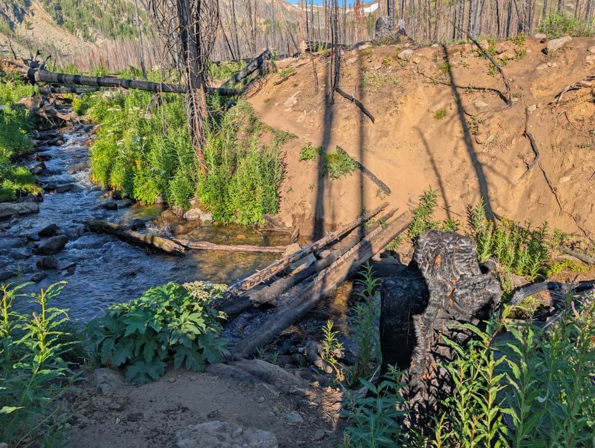 Logs provide a bridge crossing over a creek at the start of the Rim Trail in Cathedral Provincial Park