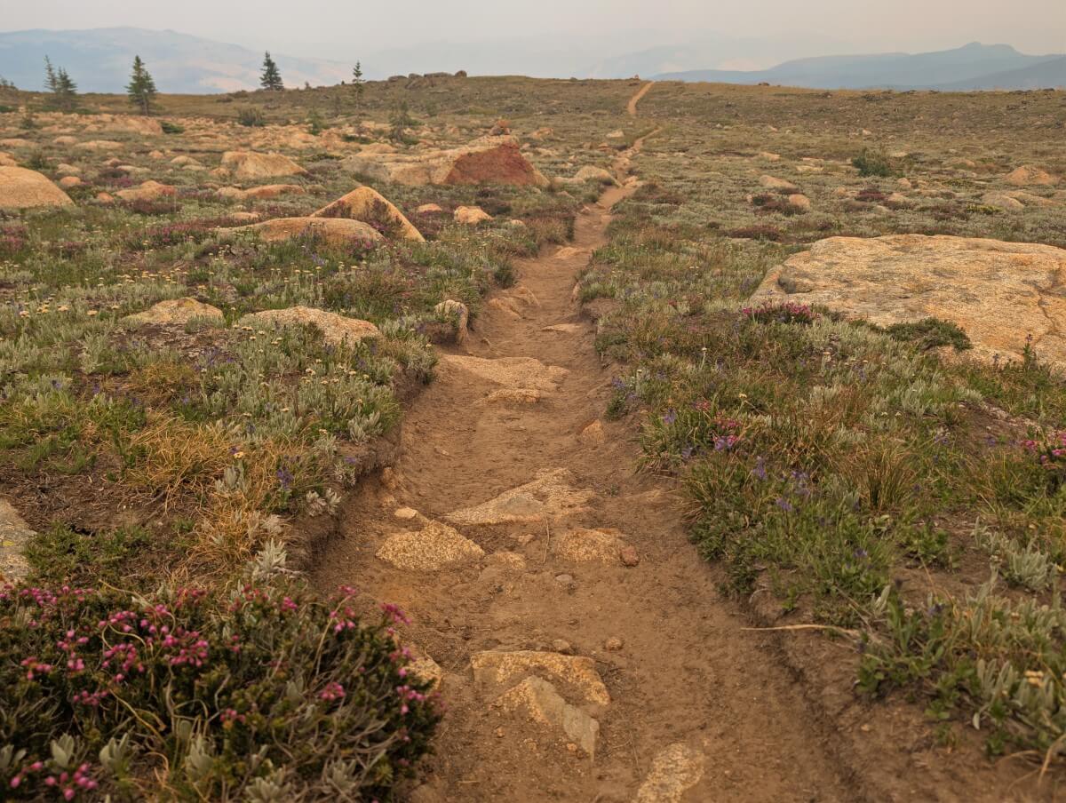 Low view of dirt hiking trail leading through alpine meadows area with mountain layers in background